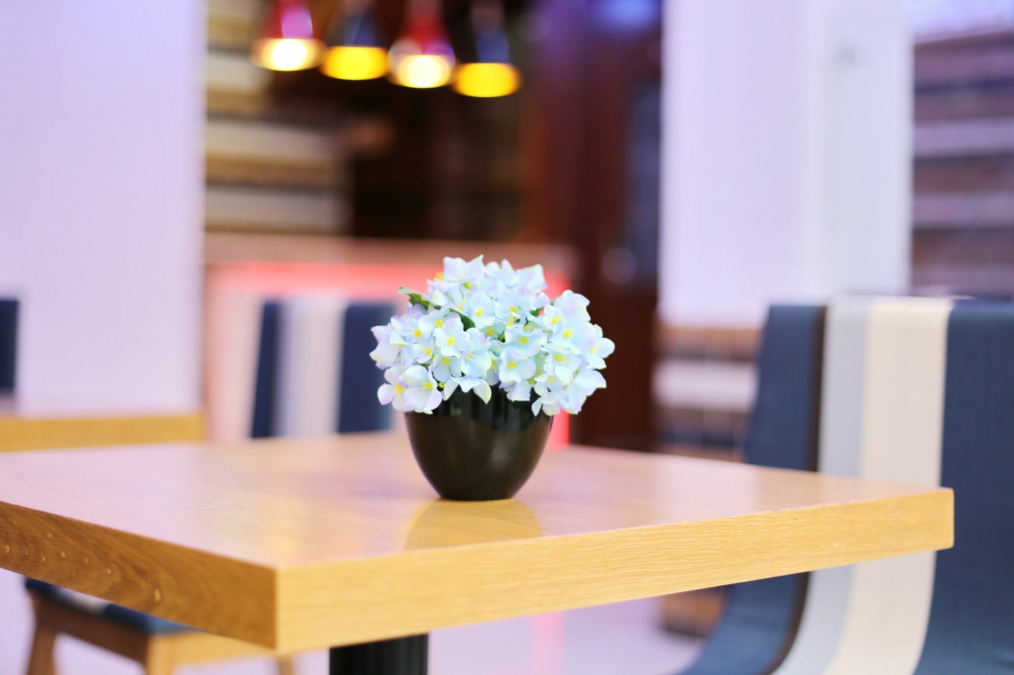 Khách sạn hẻo lánh Sabina - Hcm